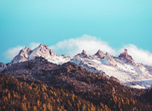 hth华体会——引领全新体育娱乐体验